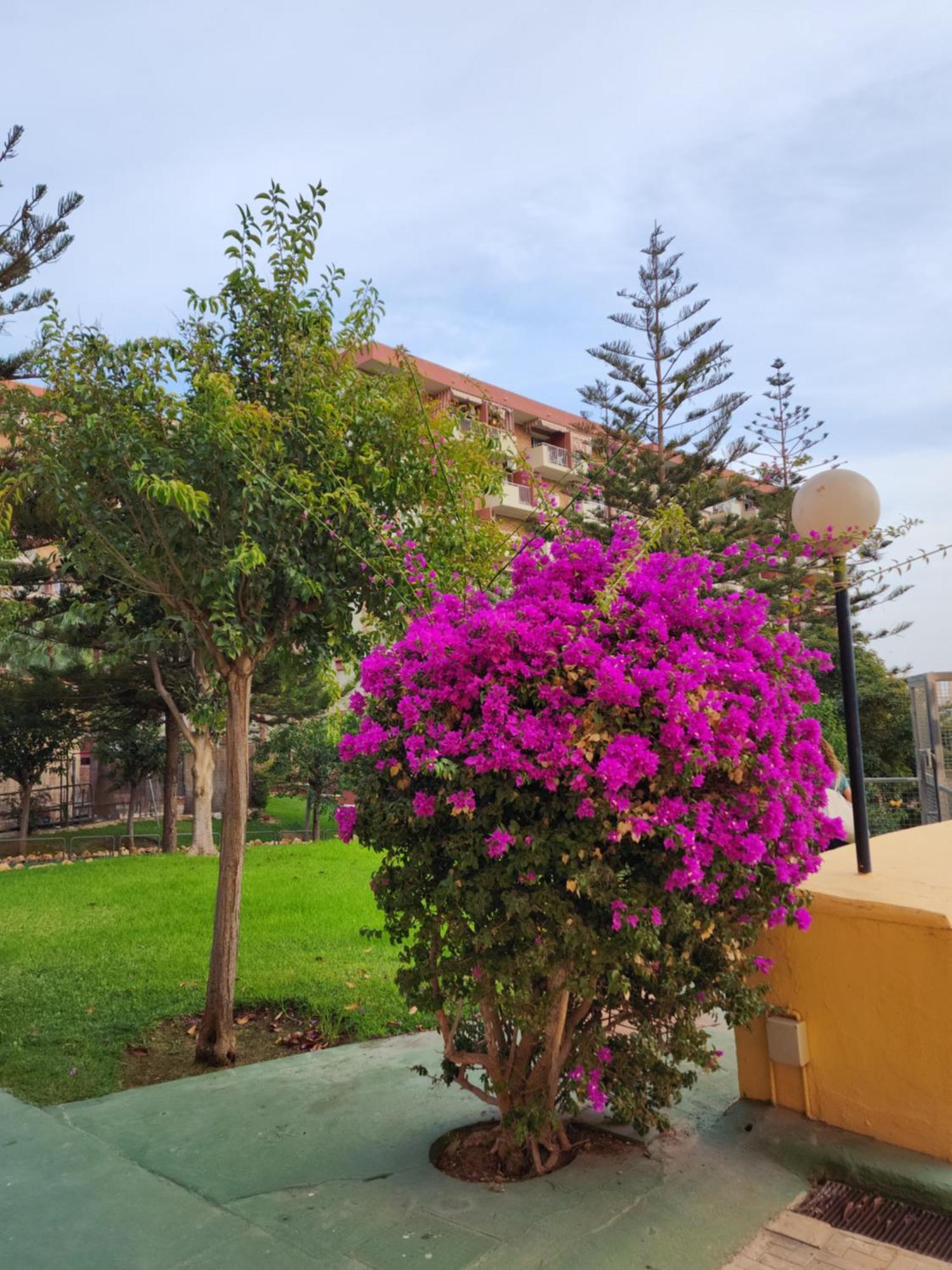 Appartamento Minerva 401 Estudio Con Gran Piscina Y Parque Acuatico